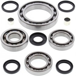 Kit rulmenti si garnituri diferential All Balls Racing DB25-2059 Kit rulmenti si garnituri diferential All Balls Racing DB25-2059