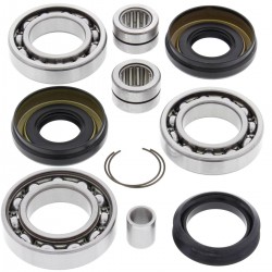 Kit rulmenti si garnituri diferential All Balls Racing DB25-2060 Kit rulmenti si garnituri diferential All Balls Racing DB25-2060