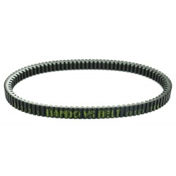 Curea de transmisie ATHENA PLATINUM S41PLAT081 Curea de transmisie ATHENA PLATINUM S41PLAT081