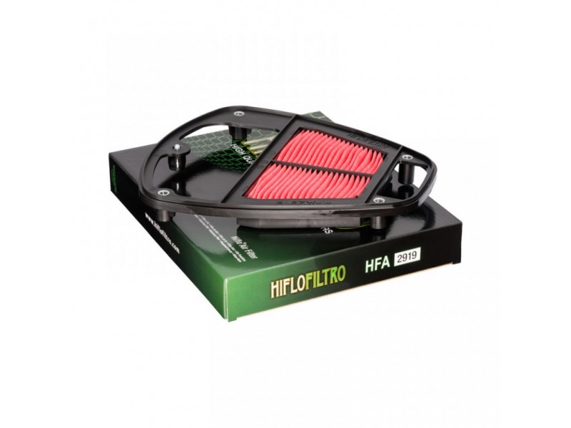 Filtru de aer HIFLOFILTRO HFA2919