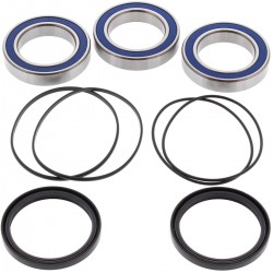 Kit rulmenti si garnituri roata All Balls Racing WB25-1479 Kit rulmenti si garnituri roata All Balls Racing WB25-1479