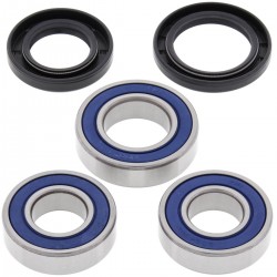 Kit rulment pedala frana All Balls Racing WB25-1485 Kit rulment pedala frana All Balls Racing WB25-1485