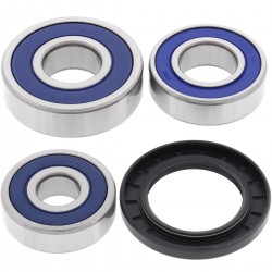 Kit rulmenti si garnituri roata All Balls Racing WB25-1489 Kit rulmenti si garnituri roata All Balls Racing WB25-1489