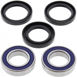 Kit rulmenti si garnituri roata All Balls Racing WB25-1499 Kit rulmenti si garnituri roata All Balls Racing WB25-1499