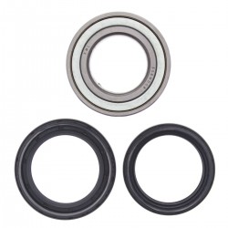 Kit rulmenti si garnituri roata All Balls Racing WB25-1502 Kit rulmenti si garnituri roata All Balls Racing WB25-1502