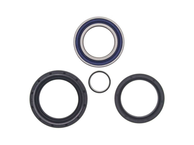 Kit rulmenti si garnituri roata All Balls Racing WB25-1513