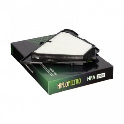 Filtru de aer HIFLOFILTRO HFA2920 Filtru de aer HIFLOFILTRO HFA2920