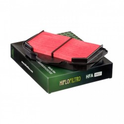 Filtru de aer HIFLOFILTRO HFA4922 Filtru de aer HIFLOFILTRO HFA4922
