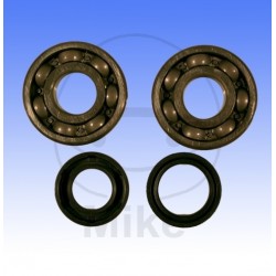 Crankshaft bearing kit ATHENA with seals Crankshaft bearing kit ATHENA with seals