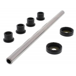 A-Arm Kit All Balls Racing AK50-1163 A-Arm Kit All Balls Racing AK50-1163