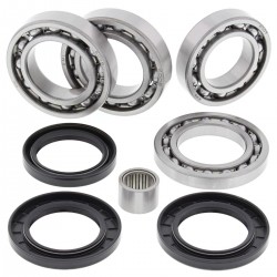 Kit rulmenti si garnituri diferential All Balls Racing DB25-2101 Kit rulmenti si garnituri diferential All Balls Racing DB25-2101