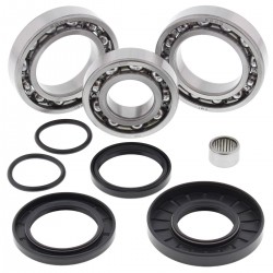 Kit rulmenti si garnituri diferential All Balls Racing DB25-2102 Kit rulmenti si garnituri diferential All Balls Racing DB25-2102