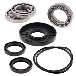 Kit rulmenti si garnituri diferential All Balls Racing DB25-2105 Kit rulmenti si garnituri diferential All Balls Racing DB25-2105