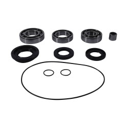 Kit rulmenti si garnituri diferential All Balls Racing DB25-2106 Kit rulmenti si garnituri diferential All Balls Racing DB25-2106