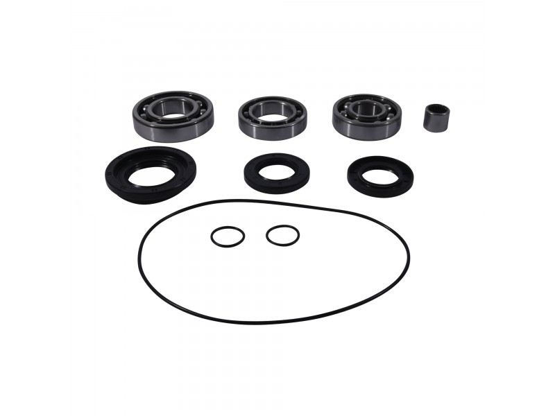 Kit rulmenti si garnituri diferential All Balls Racing DB25-2106