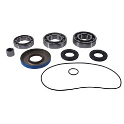 Kit rulmenti si garnituri diferential All Balls Racing DB25-2107 Kit rulmenti si garnituri diferential All Balls Racing DB25-2107
