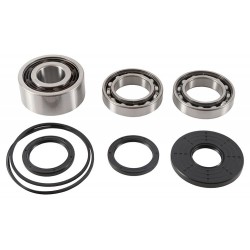 Kit rulmenti si garnituri diferential All Balls Racing DB25-2108 Kit rulmenti si garnituri diferential All Balls Racing DB25-2108
