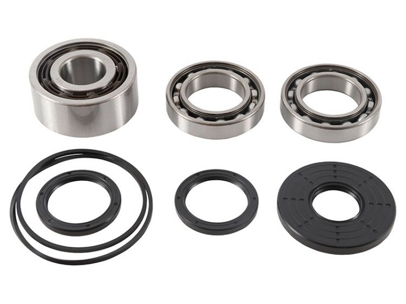 Kit rulmenti si garnituri diferential All Balls Racing DB25-2108 Kit rulmenti si garnituri diferential All Balls Racing DB25-2108