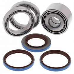 Differential Seal Only Kit All Balls Racing DB25-2098-5 Differential Seal Only Kit All Balls Racing DB25-2098-5