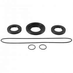 Differential Seal Only Kit All Balls Racing DB25-2106-5 Differential Seal Only Kit All Balls Racing DB25-2106-5