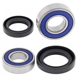 Wheel Bearing Kit All Balls Racing WB25-1704 Wheel Bearing Kit All Balls Racing WB25-1704
