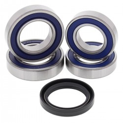 Wheel Bearing Kit All Balls Racing WB25-1707 Wheel Bearing Kit All Balls Racing WB25-1707