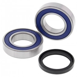 Wheel Bearing Kit All Balls Racing WB25-1709 Wheel Bearing Kit All Balls Racing WB25-1709