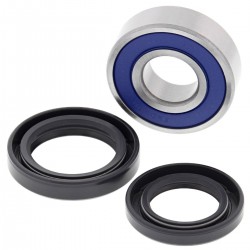 Wheel Bearing Kit All Balls Racing WB25-1722 Wheel Bearing Kit All Balls Racing WB25-1722