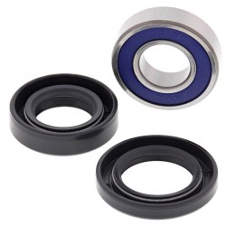 Wheel Bearing Kit All Balls Racing WB25-1723 Wheel Bearing Kit All Balls Racing WB25-1723