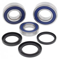 Wheel Bearing Kit All Balls Racing WB25-1727 Wheel Bearing Kit All Balls Racing WB25-1727