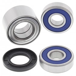 Wheel Bearing Kit All Balls Racing WB25-1729 Wheel Bearing Kit All Balls Racing WB25-1729