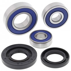Wheel Bearing Kit All Balls Racing WB25-1731 Wheel Bearing Kit All Balls Racing WB25-1731