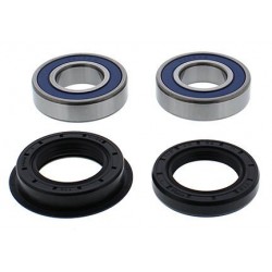 Wheel Bearing Kit All Balls Racing WB25-1741 Wheel Bearing Kit All Balls Racing WB25-1741