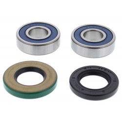 Wheel Bearing kit All Balls Racing WB25-1742 Wheel Bearing kit All Balls Racing WB25-1742