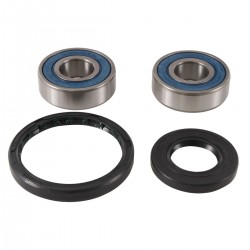 Wheel Bearing Kit All Balls Racing WB25-1743 Wheel Bearing Kit All Balls Racing WB25-1743