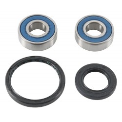 Wheel Bearing Kit All Balls Racing WB25-1744 Wheel Bearing Kit All Balls Racing WB25-1744