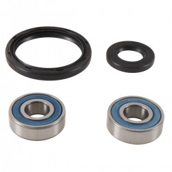 Wheel Bearing Kit All Balls Racing WB25-1745 Wheel Bearing Kit All Balls Racing WB25-1745