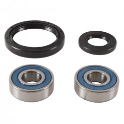 Wheel Bearing Kit All Balls Racing WB25-1746 Wheel Bearing Kit All Balls Racing WB25-1746