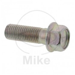 Surub prindere disc de frana JMT M10x30 Surub prindere disc de frana JMT M10x30