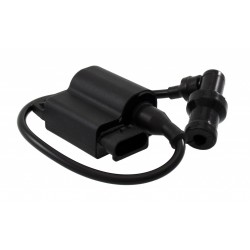 Bobina de inductie RMS 246010501 Bobina de inductie RMS 246010501