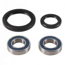 Kit rulmenti si garnituri roata All Balls Racing WB25-1753 Kit rulmenti si garnituri roata All Balls Racing WB25-1753