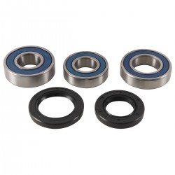 Kit rulmenti si garnituri roata All Balls Racing WB25-1754 Kit rulmenti si garnituri roata All Balls Racing WB25-1754