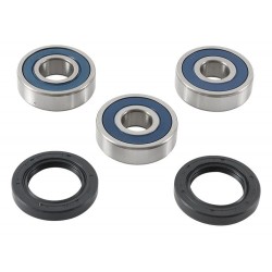 Kit rulmenti si garnituri roata All Balls Racing WB25-1755 Kit rulmenti si garnituri roata All Balls Racing WB25-1755