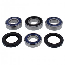 Kit rulmenti si garnituri roata All Balls Racing WB25-1758 Kit rulmenti si garnituri roata All Balls Racing WB25-1758