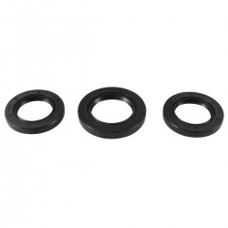 Differential Seal Only Kit All Balls Racing DB25-2015-5 Differential Seal Only Kit All Balls Racing DB25-2015-5