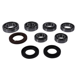 Kit rulmenti si garnituri diferential All Balls Racing DB25-2109 Kit rulmenti si garnituri diferential All Balls Racing DB25-2109