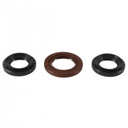 Differential Seal Only Kit All Balls Racing DB25-2109-5 Differential Seal Only Kit All Balls Racing DB25-2109-5