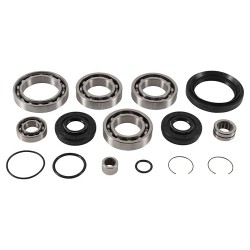 Kit rulmenti si garnituri diferential All Balls Racing DB25-2110 Kit rulmenti si garnituri diferential All Balls Racing DB25-2110