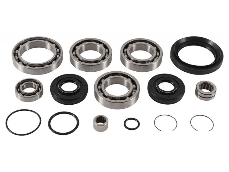 Kit rulmenti si garnituri diferential All Balls Racing DB25-2110 Kit rulmenti si garnituri diferential All Balls Racing DB25-2110