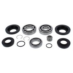 Kit rulmenti si garnituri diferential All Balls Racing DB25-2111 Kit rulmenti si garnituri diferential All Balls Racing DB25-2111